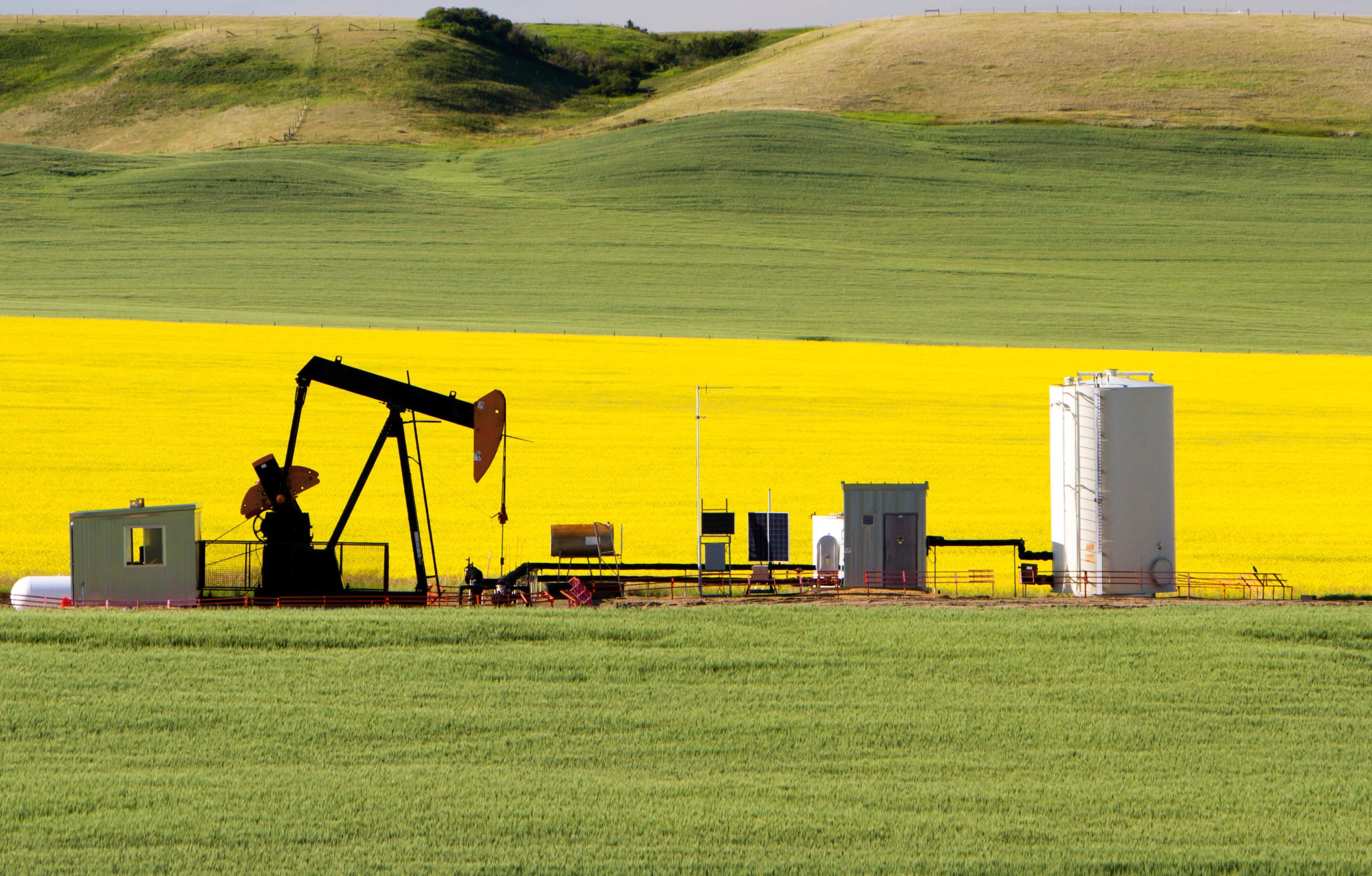 colza-bomba-petroleo.jpg